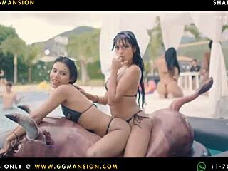 brunette loves to lick stockings even the camera ggmansion