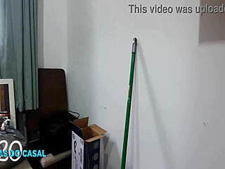 सफादा पिका पर जोरदार झड़ रही है!