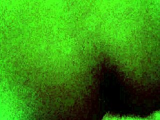 Man, watching that bull dominate my wife's pussy is wild!