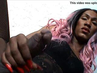 ट्रैवेस्टी वेरोनिका वेंड्रामिनी ने डबल कमशॉट एक्शन के साथ जोरदार पाउंडिंग की