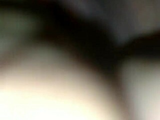 सफादा को बैकयार्ड में डीप लेती है इंटेंस एक्शन में