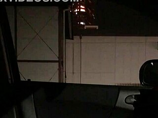 車内露出 asian japanese flashing cock