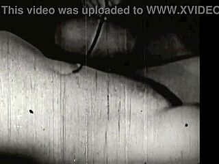 My Secret Life Tales From A Victorian Boudoir