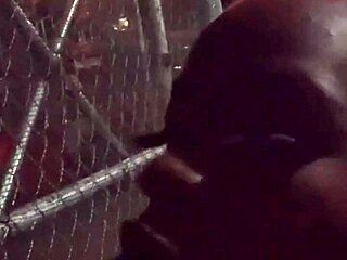 Hey Cousin, Suck My Black Dick Outside The Campus Now?