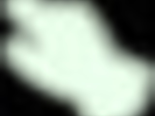 we're diving into dungeon tests facing off cute furry enemies