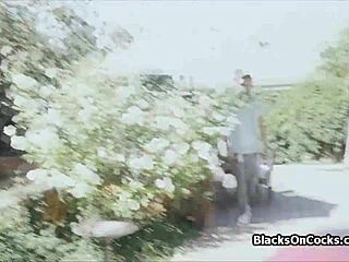 curvy ebony blogger gives blowjob to hard cock