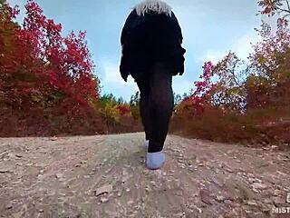 Follow My Lonely Evening Walk Through the Forest Path