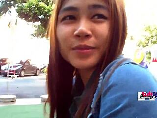 हार्डकोर हैरी बंगलोर में अपना वाइल्ड पीओवी फिल्म करता है।