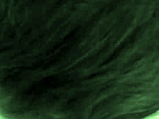 phatcat exploring in the woods with friends