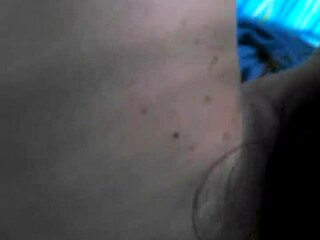 phatcat exploring in the woods with friends