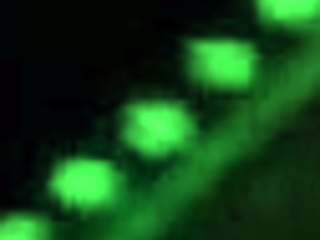 blonde with glasses takes monster black cock at airport