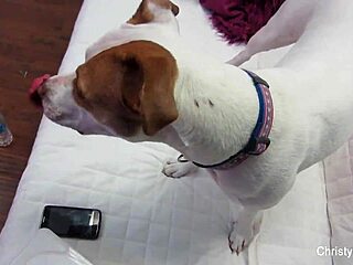 Christy mack and nick manning reveal intense fucking, ass play, and cumshots in pov