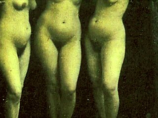 Vintage Pornography Challenge 1870s Vs 1970s