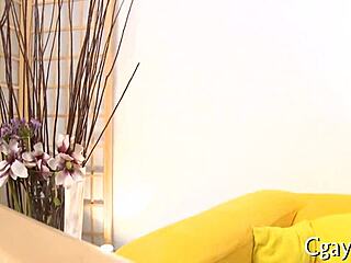 Gay boys engage in passionate porn activities