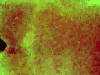 Caught filming my neighbor riding, but she noticed! 😅