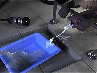 h0rs3 gets fucked by machine in this compilation?