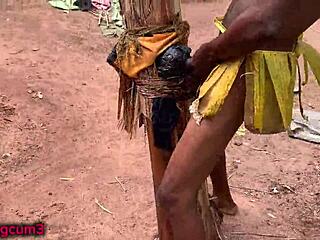 अब तक की सबसे हार्ड चुदाई क्लिप