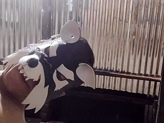 increible pene macho alfa cita a su hermanastra a una reunion para dialogar sobre planificacion sexual y le ense�a como se deben poner los condones antes de follar