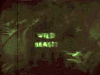 Vintage Outdoor Pussy Bent Over Doggystyle