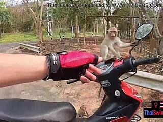 अमेचर एशियन टीन जीएफ बड़ा कॉक बॉयफ्रेंड पीओवी चोदती है