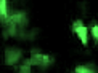 Vintage Animalation Classics