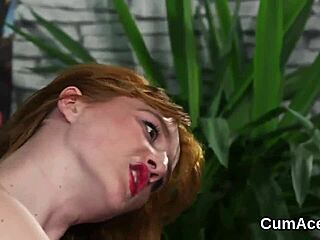 Spicy stunner receives facial cumshot in blowbang