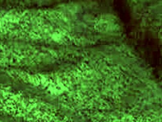 रेडहॉट फॉक्स ब्लोजॉब देती है फिर डॉगी स्टाइल में झुक जाती घरेलू वीडियो में