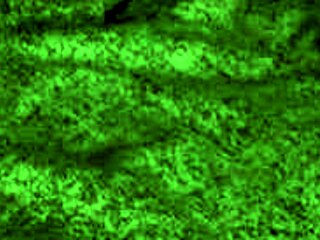 रेडहॉट फॉक्स ब्लोजॉब देती है फिर डॉगी स्टाइल में झुक जाती घरेलू वीडियो में