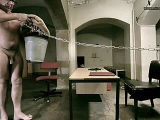 Yo, Dominatrix Mistress April owns with sodomy in prison! 😈