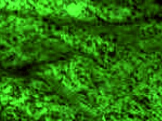 रेडहॉट फॉक्स ब्लोजॉब देती है फिर डॉगी स्टाइल में झुक जाती घरेलू वीडियो में