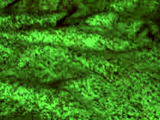 रेडहॉट फॉक्स ब्लोजॉब देती है फिर डॉगी स्टाइल में झुक जाती घरेलू वीडियो में