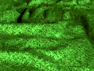 रेडहॉट फॉक्स ब्लोजॉब देती है फिर डॉगी स्टाइल में झुक जाती घरेलू वीडियो में