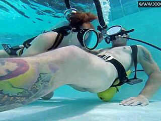 मिन्नी मंगा हेंटाई में पानी के नीचे डिक के साथ एक्सप्लोर करती है