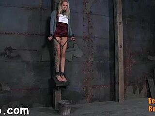 Soft couple gets wild with hardcore oral punishment in bed