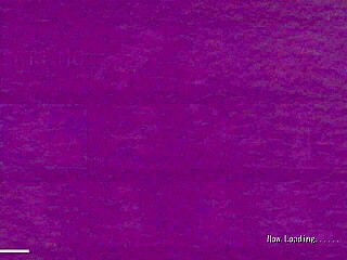 i explore kodoku's successor gallery in this hentai anime