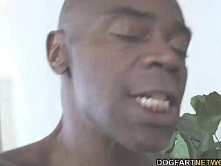 कॉर्टनी टेलर बिग ब्लैक कॉक क्रीमपाई से इंटेंस प्लेजर महसूस करती है