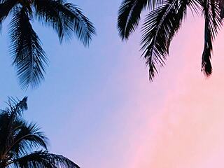 Vagninho and pamela pantera kiss outdoors, almost having sex