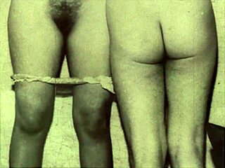 Dark Lantern Entertainment Presents VINTAGE TABOO FAMILY FANTASY