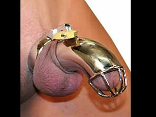 your penis is wife's property now?