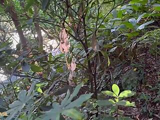 i took this big titted guy to wickedness with my big ass, it was so naughty