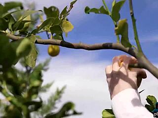 ukrainian teen hayli sanders strips naked for playboy