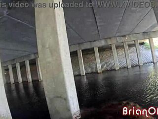 ebony princess willow ryder bounces bubble butt on my big dick riding jet-ski