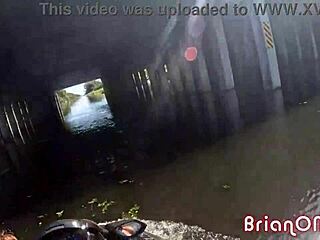 ebony princess willow ryder bounces bubble butt on my big dick riding jet-ski