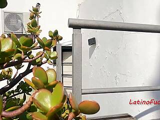 i’m lost in sin with sun-kissed latina anal action tonight.