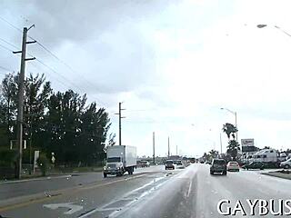 homosexual sex on the move