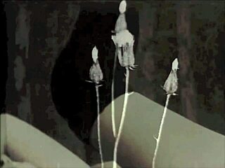 i'm obsessed with dark lantern's steamy vintage hairy pussy flicks