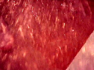 शे और जूलिया लेस्बियन चूत चाटती हैं और बड़े टिट्स से खेलती हैं बिस्तर पर