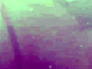 French Amateur In Satin Lingerie Bra Corset Thong Panties Rimming Doggystyle Anal