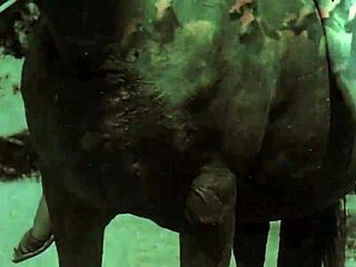 Dark Lantern Entertainment Unveils Retro Hairy Pussy