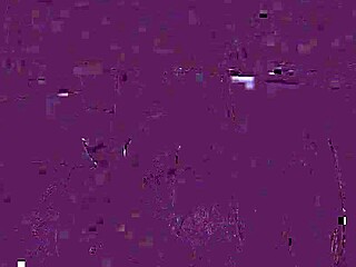 once this lock clicks i own your cock. the femdom humiliates the slave with a handjob until orgasm in pov.